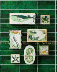 Mariner ボックス シーホース